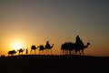 铂金遗产：老式路虎或骆驼大篷车的遗产野生动物园之旅