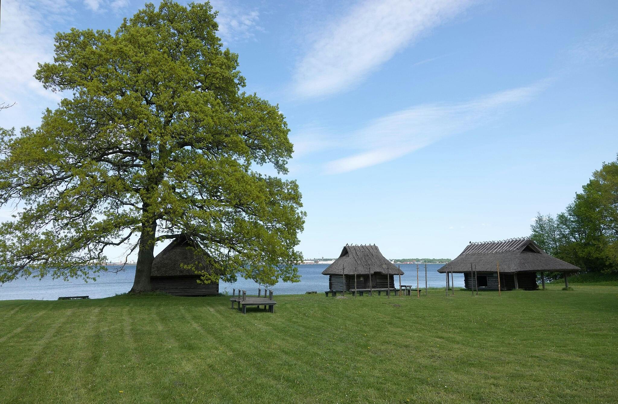 Een grote boom staat bij drie rietgedekte hutten aan een waterpartij, met een grasveld en blauwe lucht op de achtergrond.