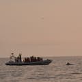 En vitnäbbad delfin dyker upp bredvid vår båt under midnattssolen.