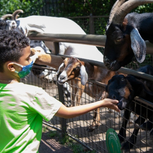 Central Park Zoo: Total Experience