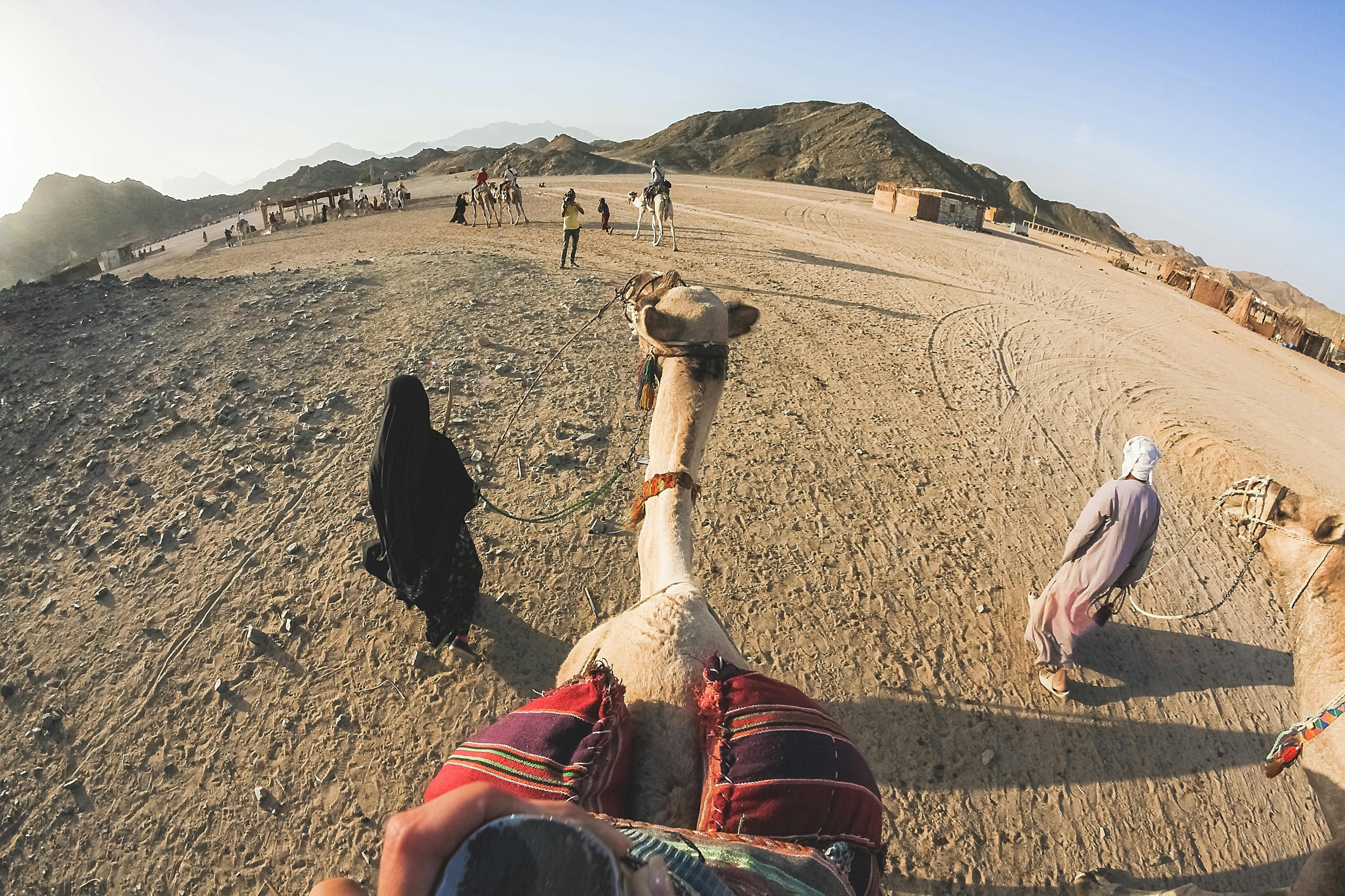 Vista des de dalt d&#39;un camell en una zona desèrtica, amb gent caminant, altres camells, terreny rocós i muntanyes llunyanes sota un cel clar.