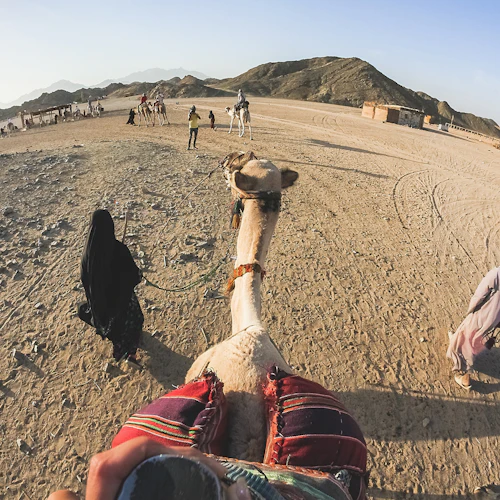 Hurghada: 1-Hr Guided Camel Ride + Transfer - Photo 8