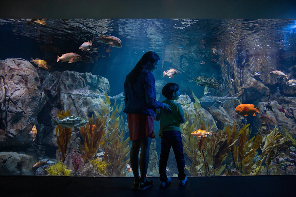 mother and son in front of an aquarium at the Aquarium of the Pacific