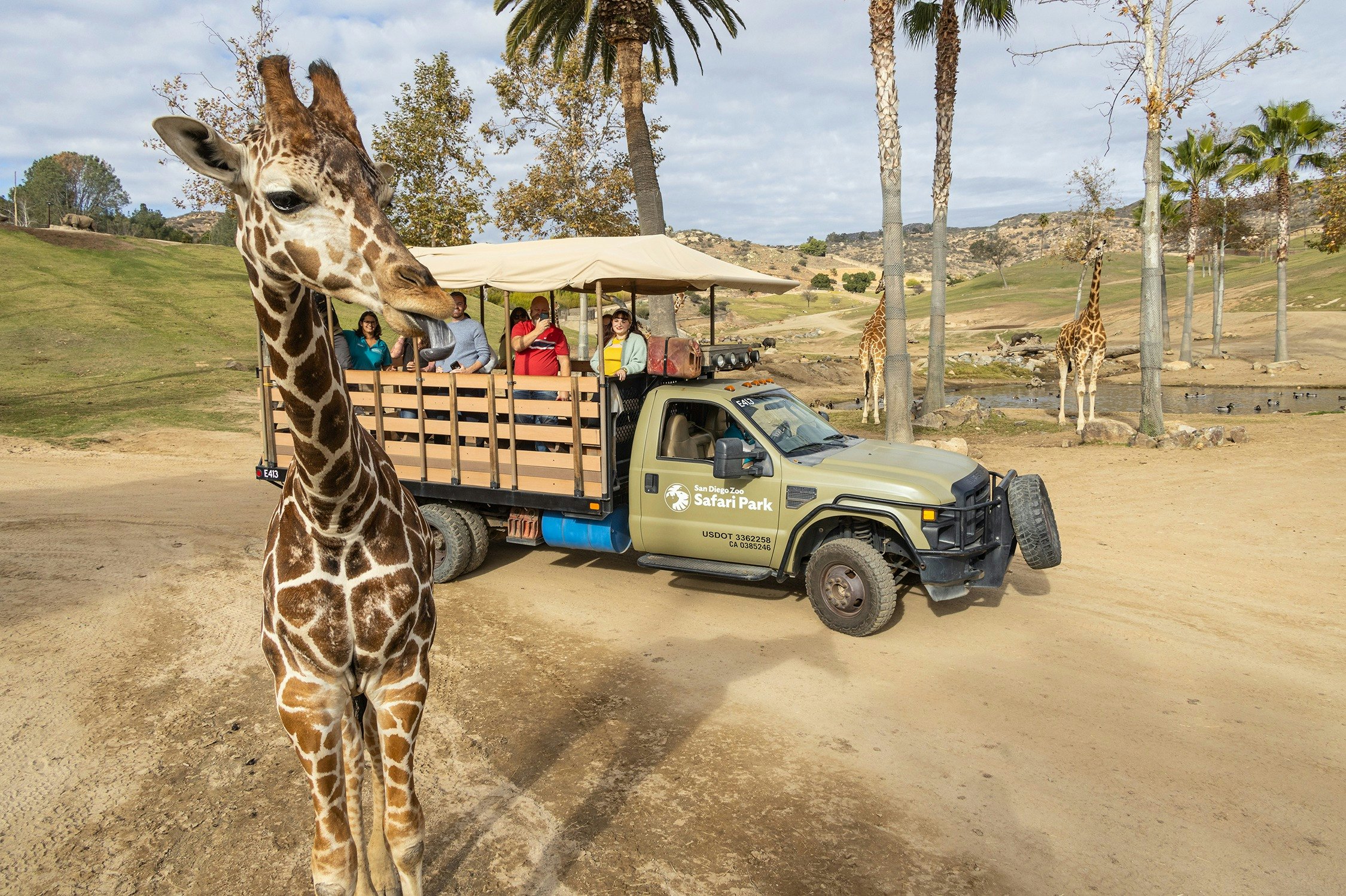 San Diego Zoo Safari Park: bilhete de entrada