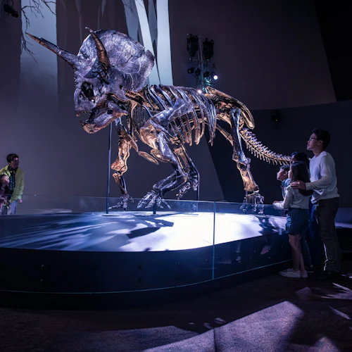 Museu de Melbourne: Visita guiada ao lar dos dinossauros - Photo 6