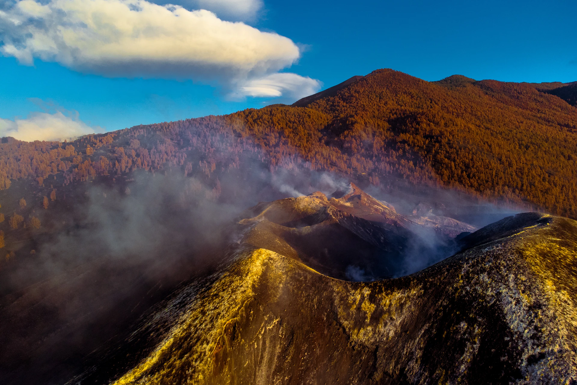 La Palma