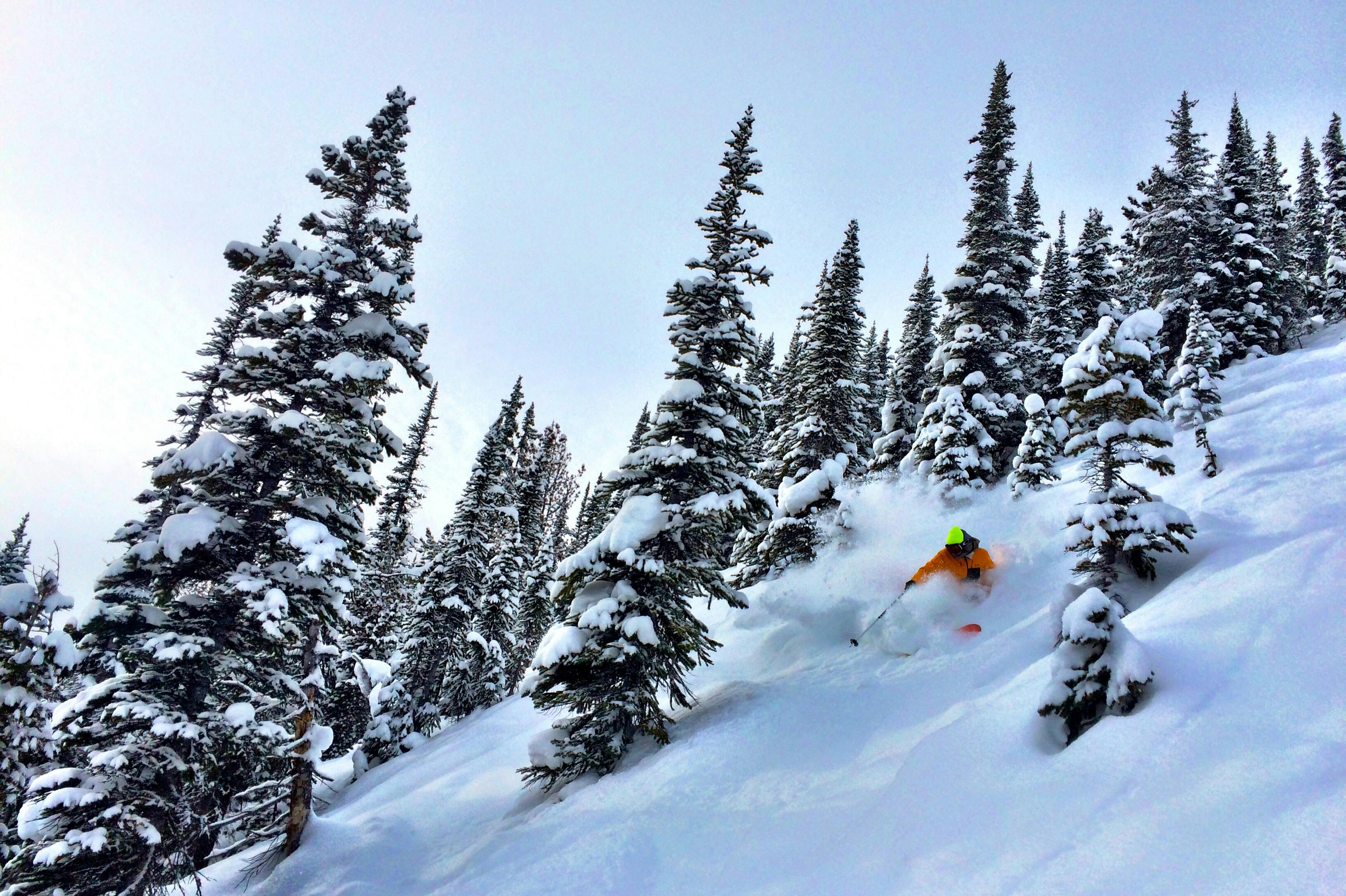 Kicking Horse Mountain Resort