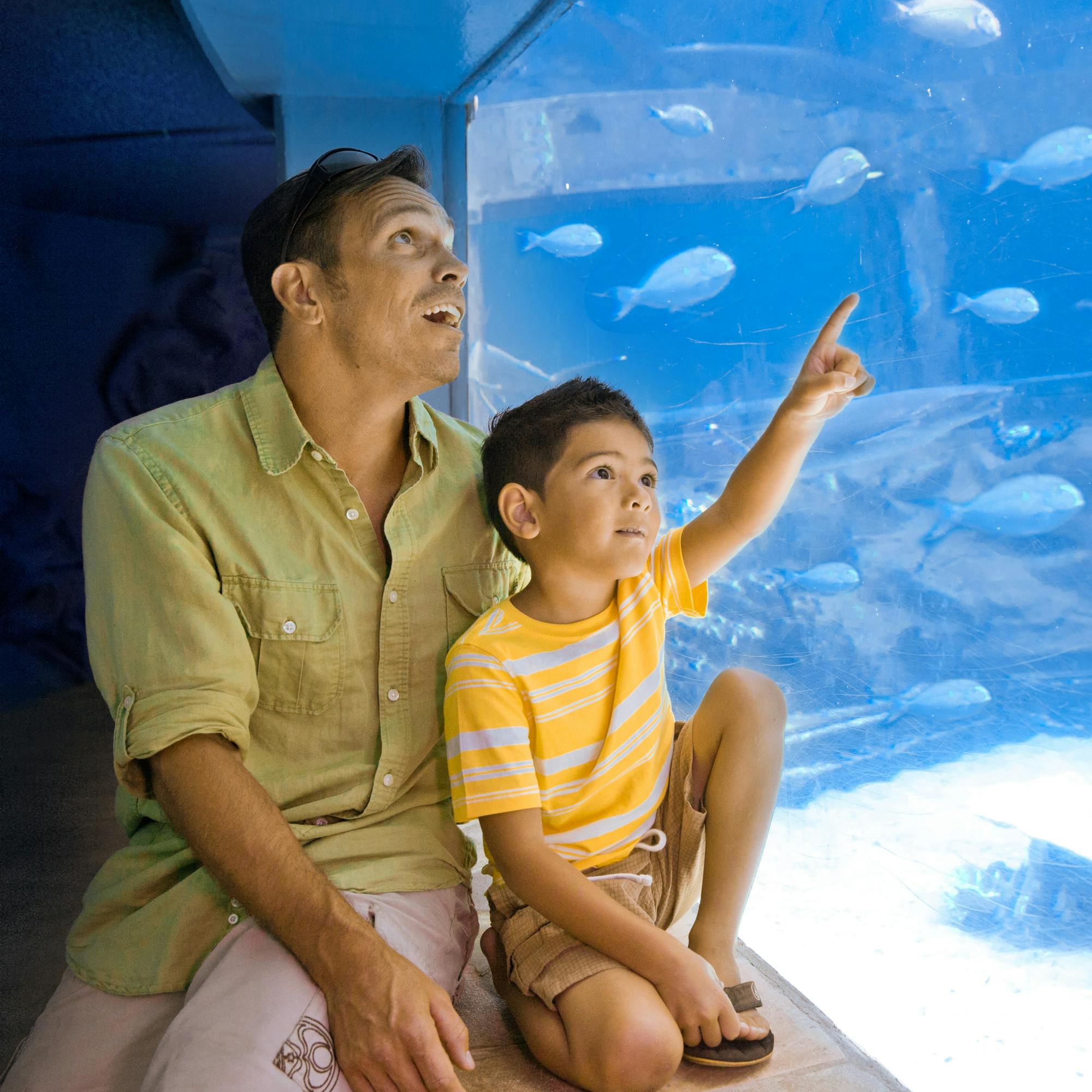 A man and a boy watch fish swim in a large aquarium. The boy points at the fish while the man looks up, both appearing fascinated.