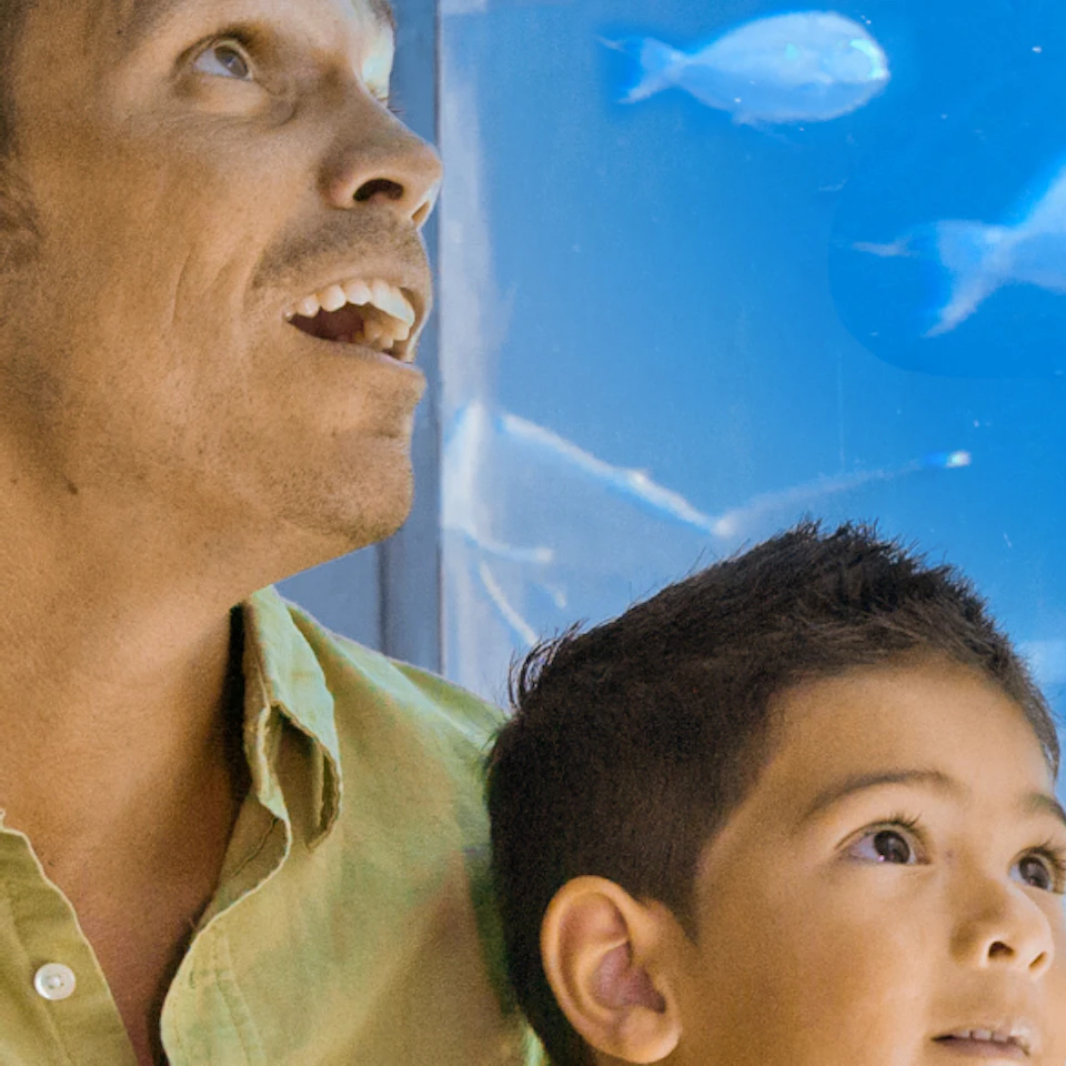 A man and a boy watch fish swim in a large aquarium. The boy points at the fish while the man looks up, both appearing fascinated.