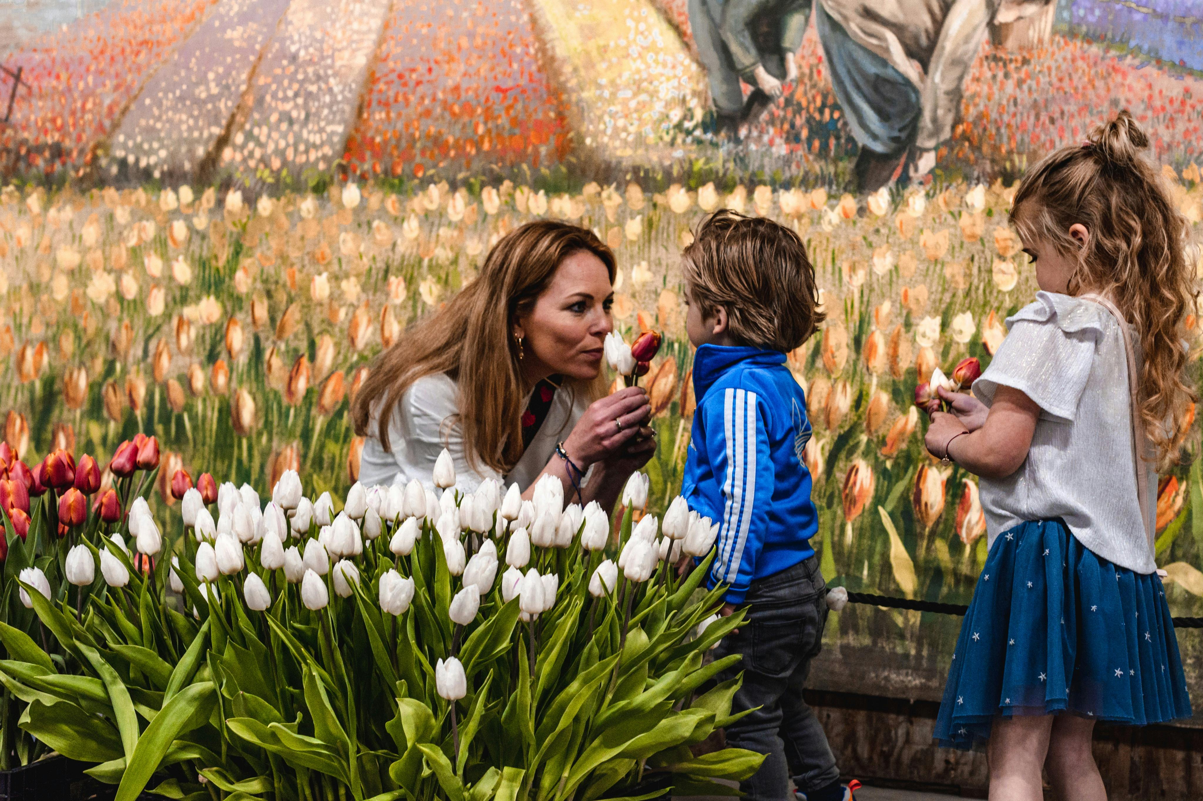 Tulip Experience Amsterdam
