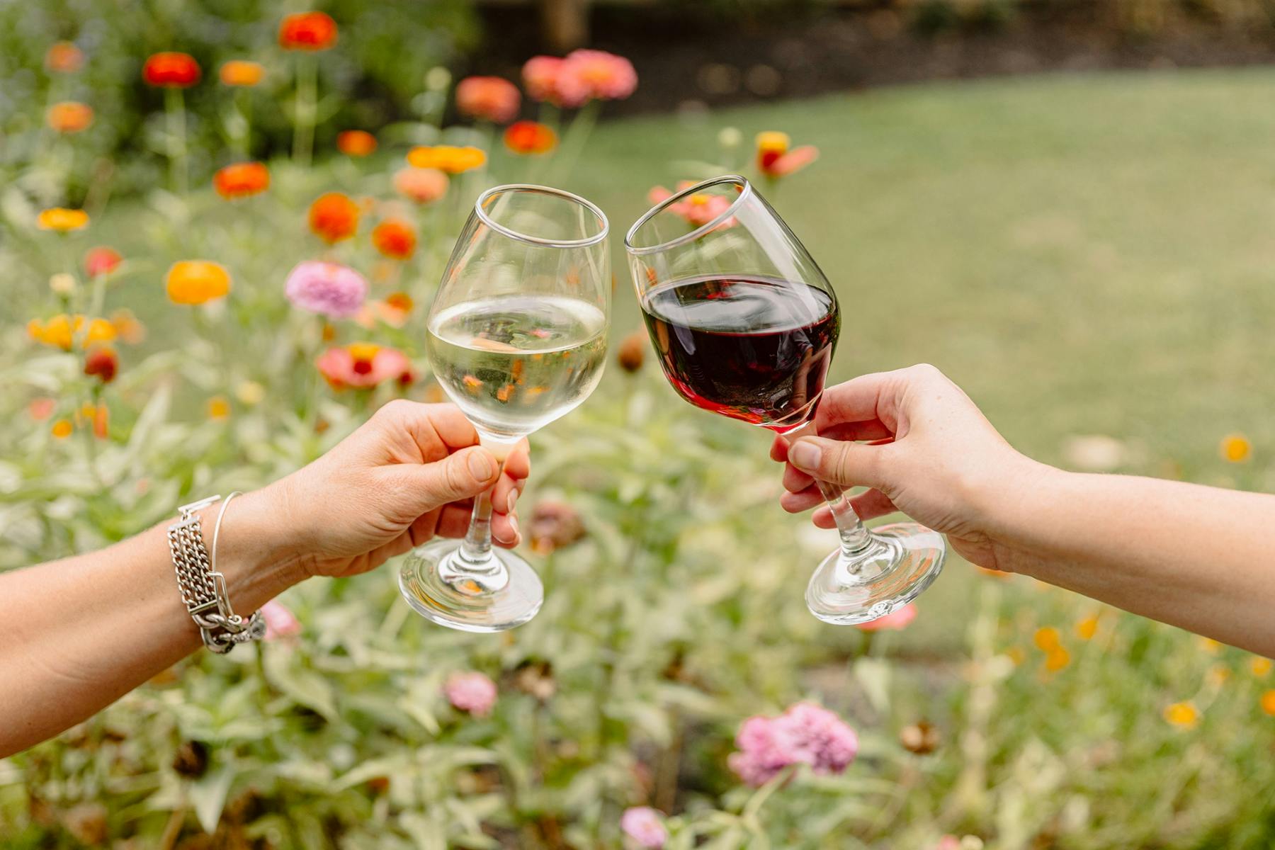Two people clinking glasses of white and red wine in a garden with colorful flowers in the background.
