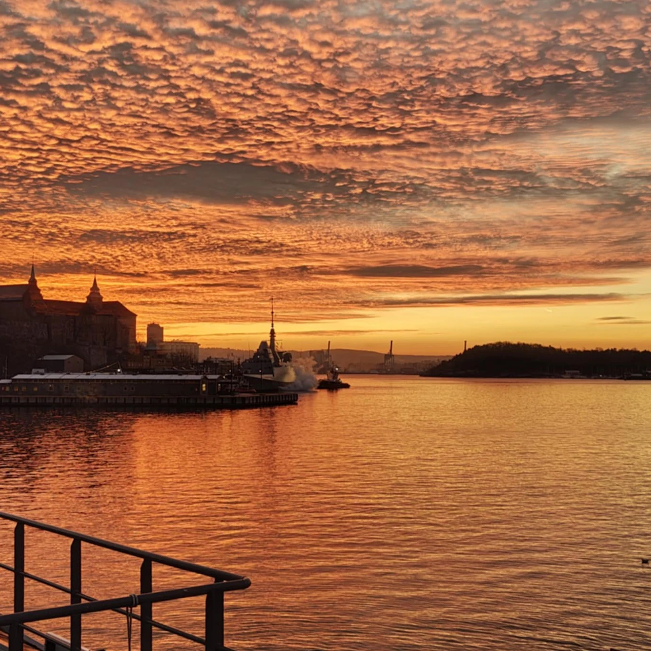 Oslo: Fjord Cruise + Audio Guide in Oslo β Tiqets