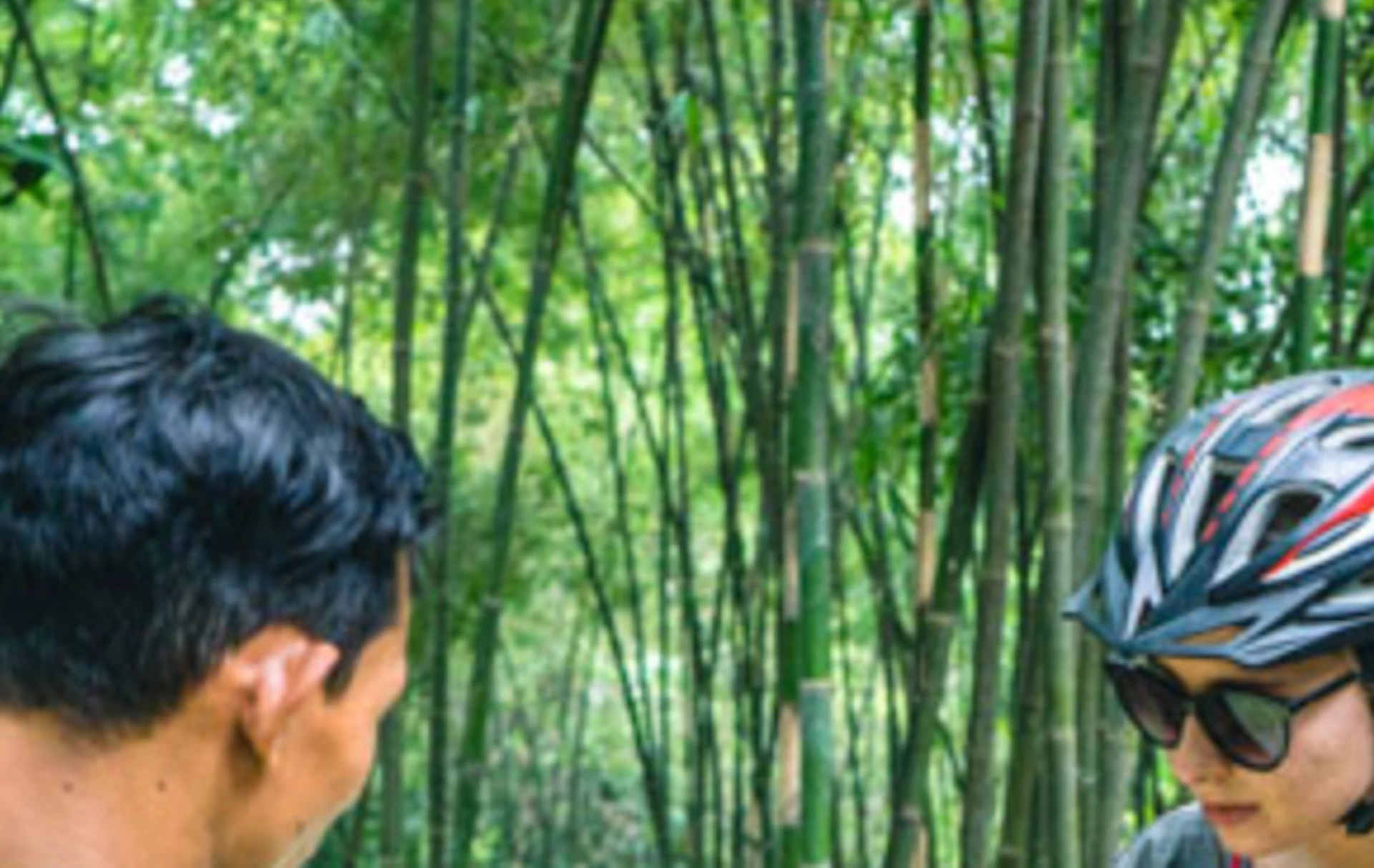 A group of four people in cycling gear examining a map in a bamboo forest, with bikes visible in the background.