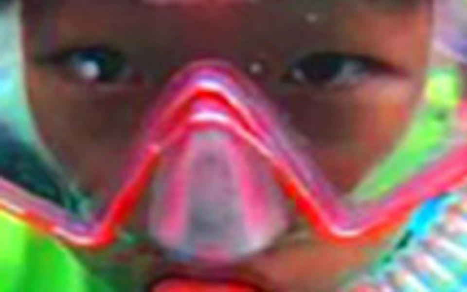 Person snorkeling underwater alongside colorful fish and coral, wearing a pink mask, snorkel, and a neon green life vest.
