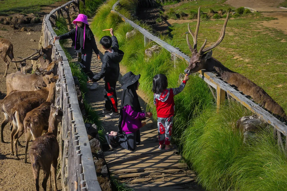 Kampung Cai Ranca Upas: Admission Ticket (Non-Indonesian Passport Holders)