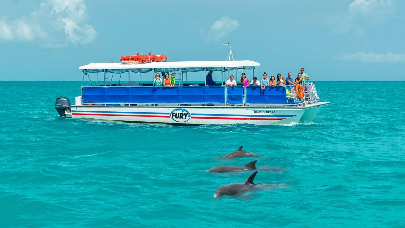 Key West: Dolphin Watching Eco Tour