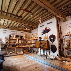 Ett museumrum fyllt med artefakter, inklusive byster, stammasker, spjut, djurhorn, skal och olika skulpturer på hyllor och väggar.