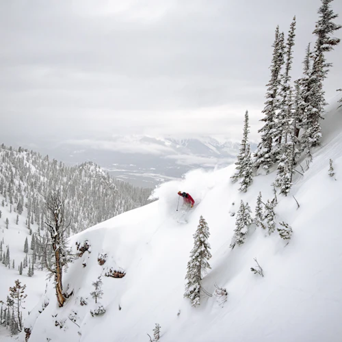 Kicking Horse Mountain Resort: Powder Express Shuttle from Banff + Ski Lift Pass - Photo 8