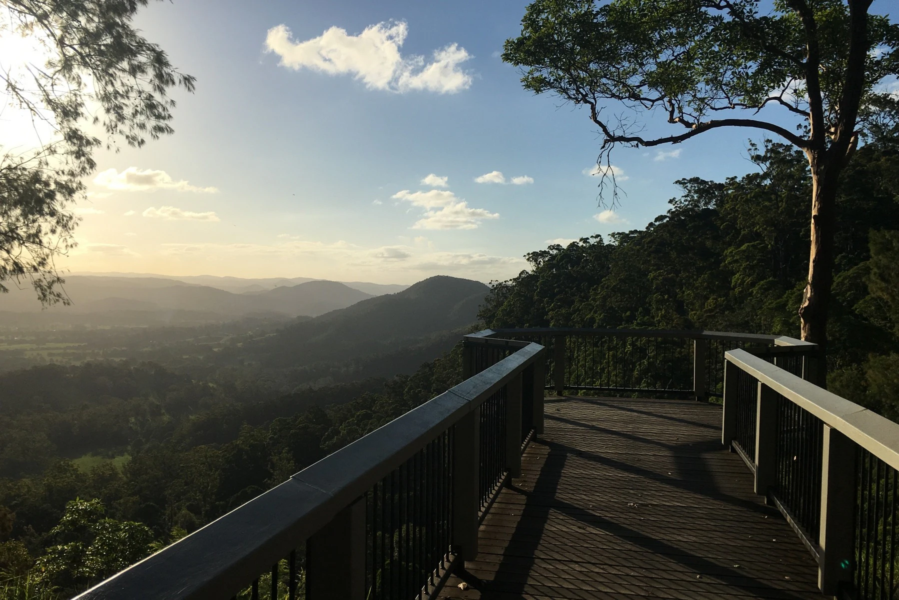 Sunshine Coast Hinterland: Small Group Guided Tour + Transfers + Lunch