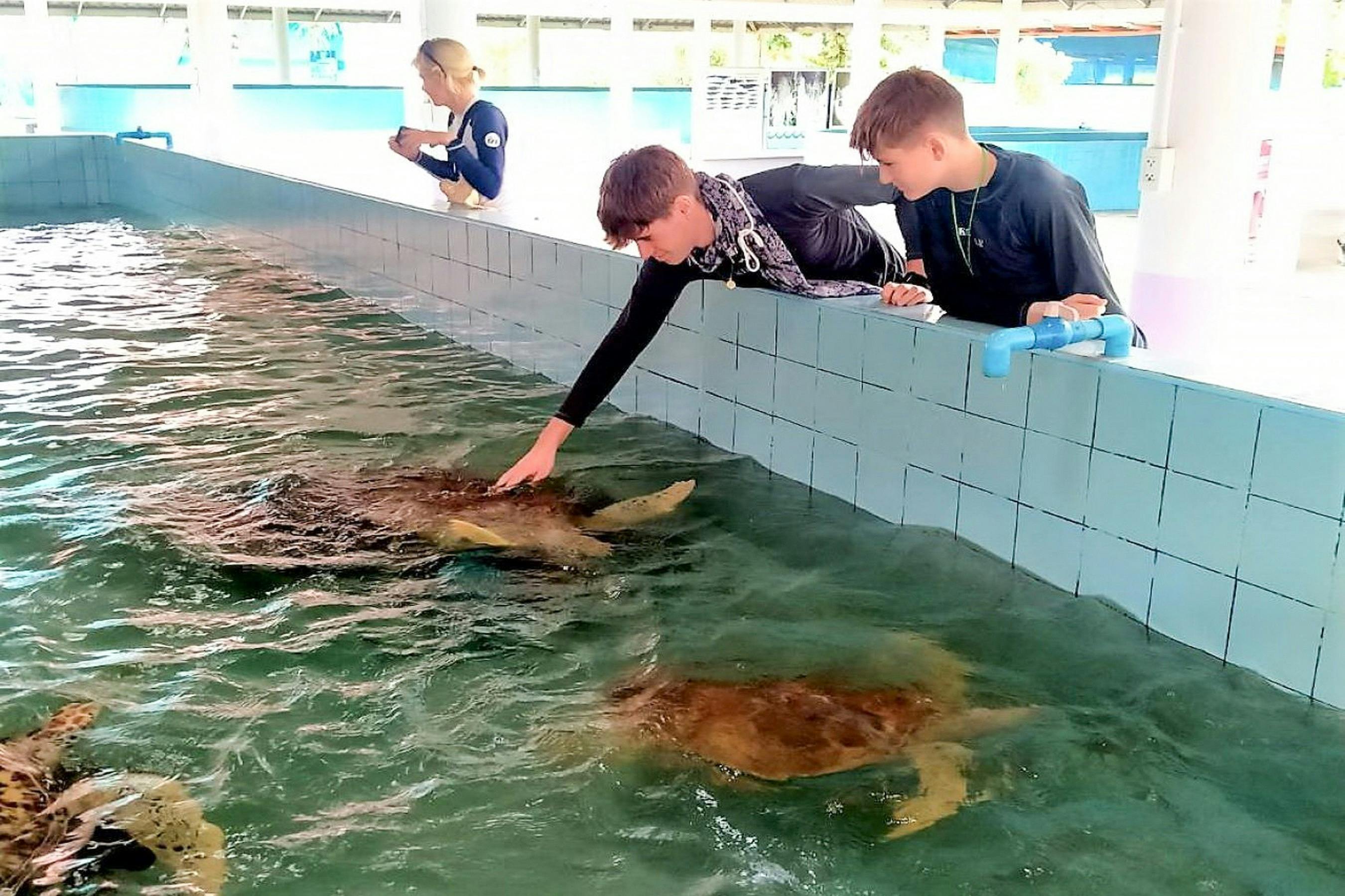 Children interact with sea turtles in a tank, supervised by an instructor in a marine facility.