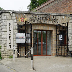 World War II & Cold War Walking Tour & Hospital in the Rock Visit 5