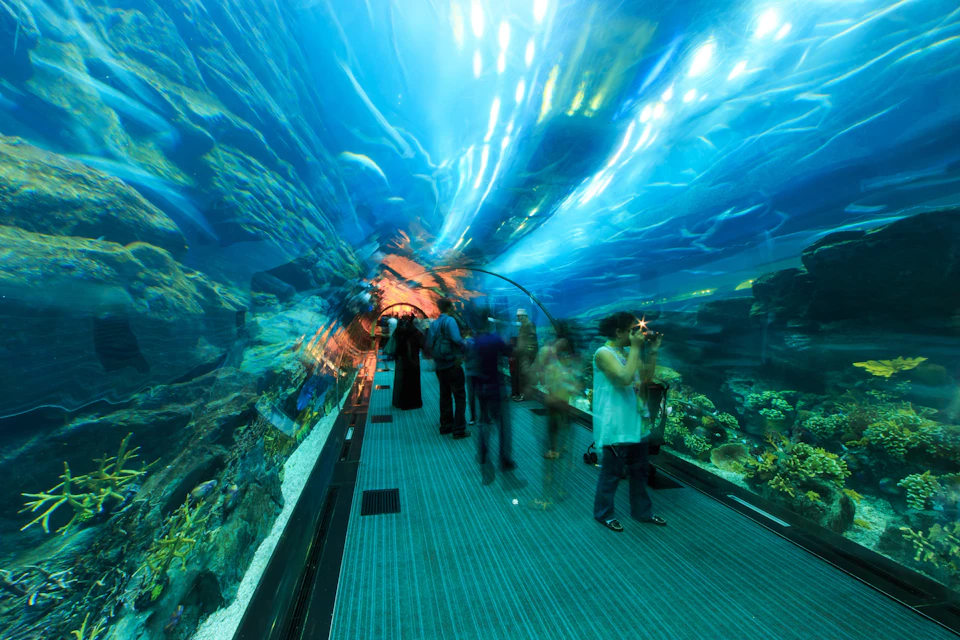Dubai Aquarium & Underwater Zoo - Ultimate Experience
