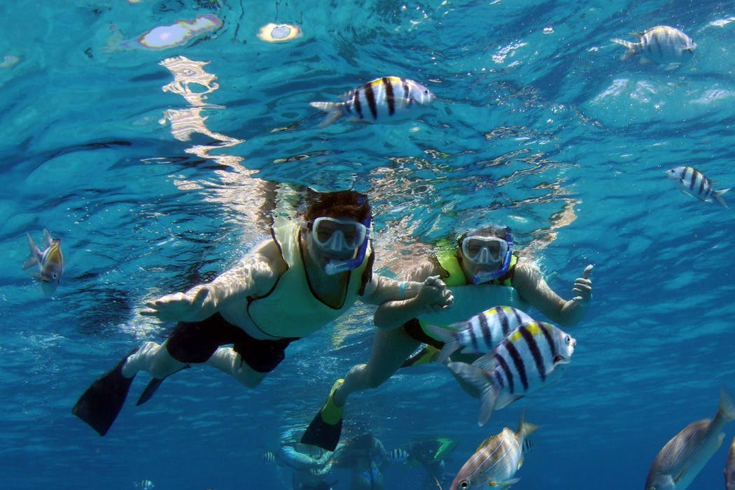 Oahu: Cruzeiro de barco para observação de golfinhos à tarde + mergulho com snorkel - Photo 8