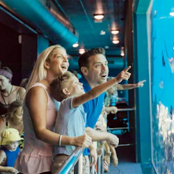 Sea World Single Day Pass Ticket 3