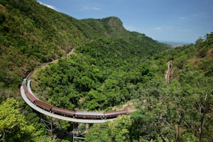 Skyrail Regenwald-Seilbahn: Tagesausflüge und Touren ab Cairns