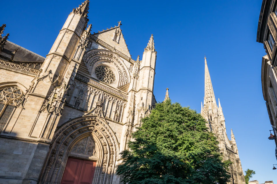 A Gothic-style cathedral with intricate details and a tall spire, framed by a tree against a clear blue sky.