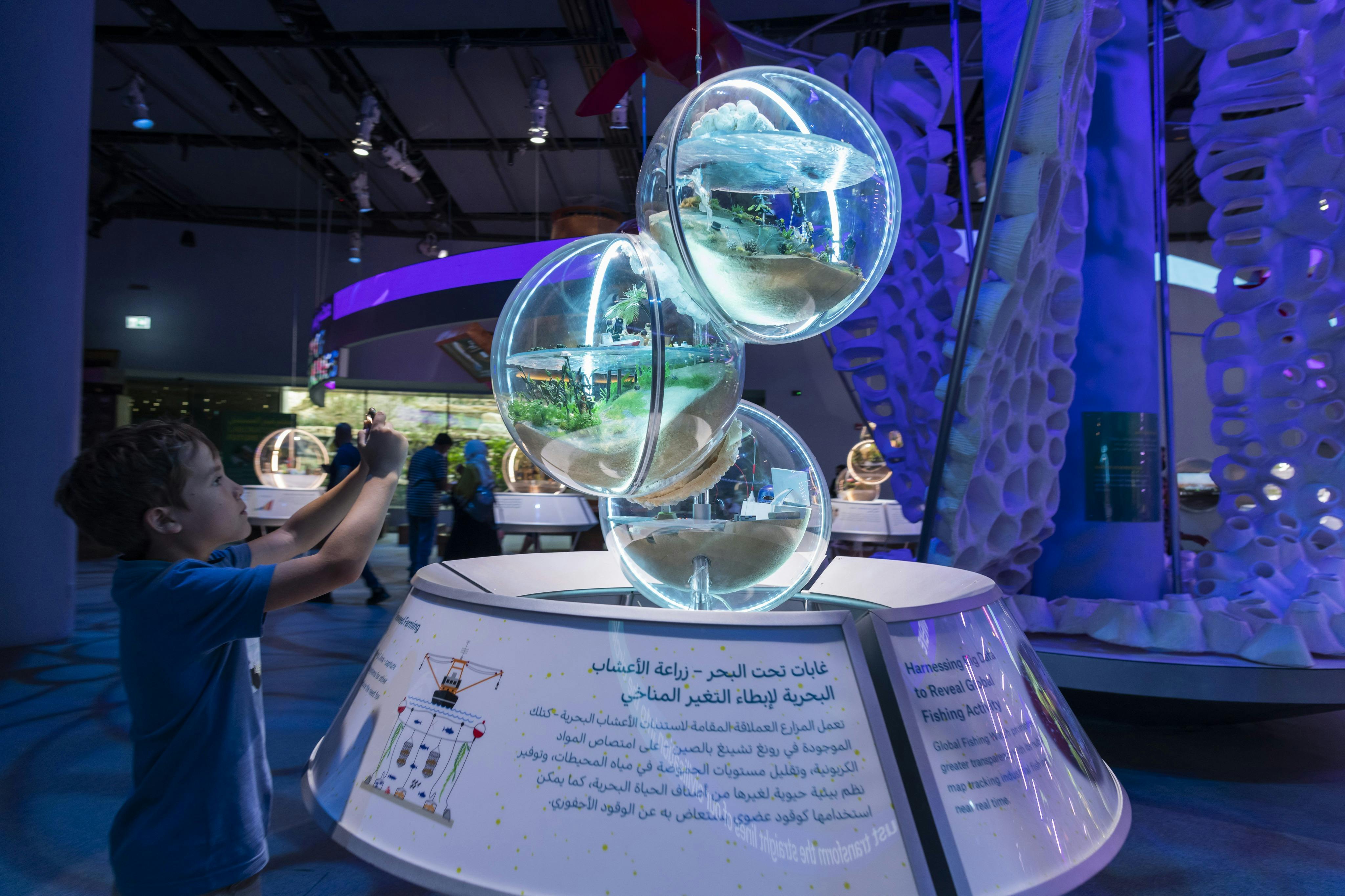 Dubai Expo City Attractions Pass Tickets Tiqets