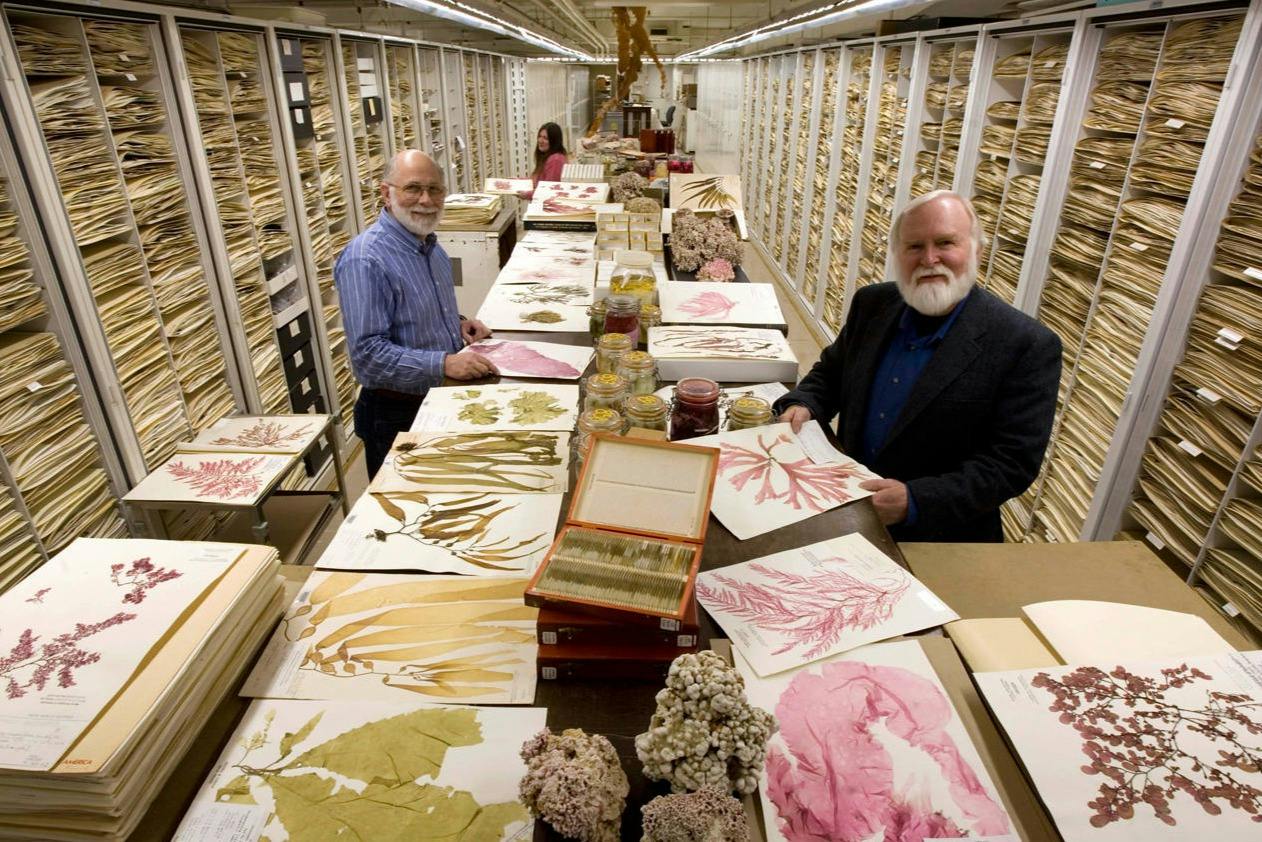 A group of people examining botanical specimens in a library-like archive filled with shelves of preserved plants.