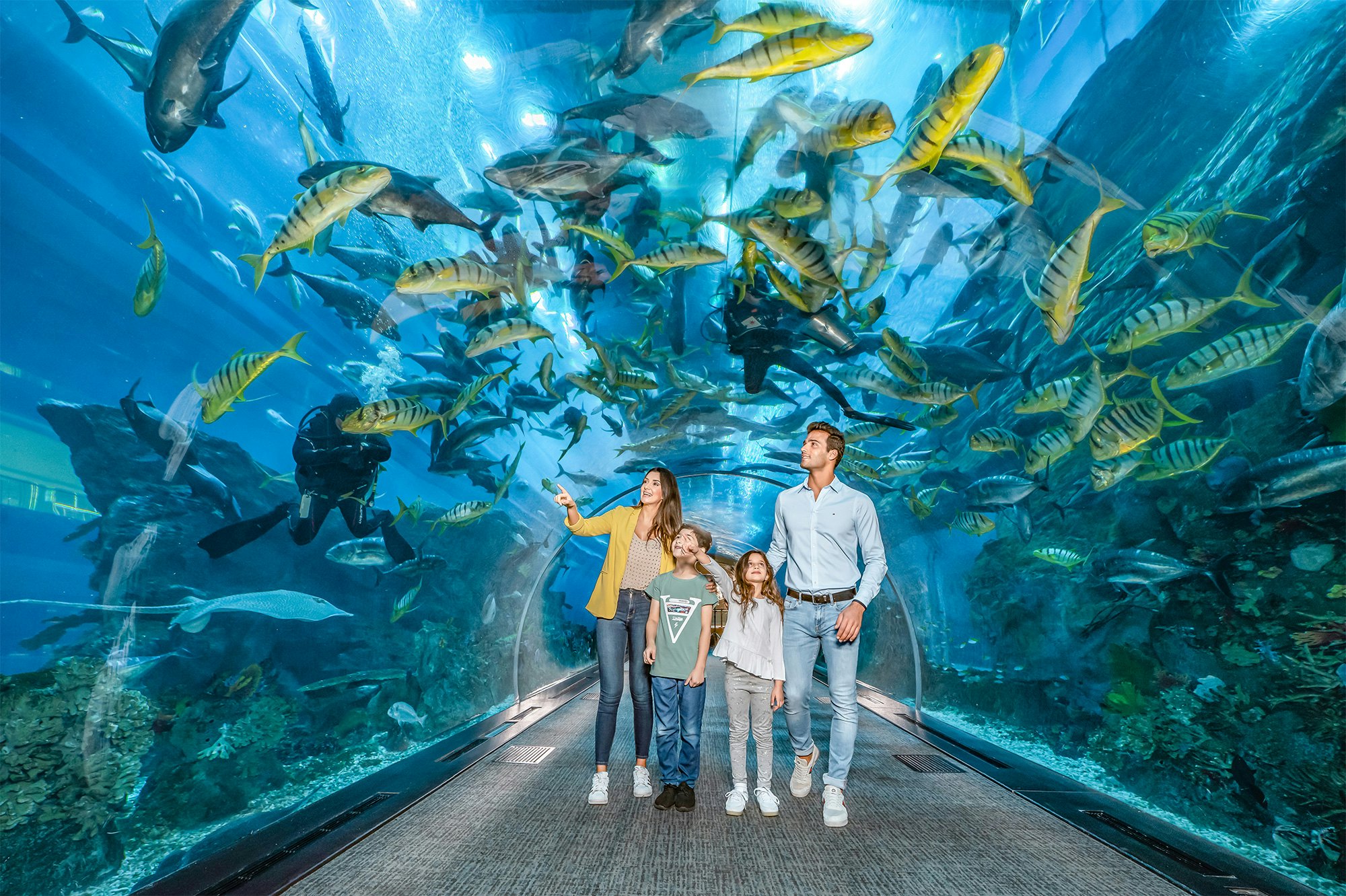 ドバイ水族館 水中動物園 キング クロコダイルを観察