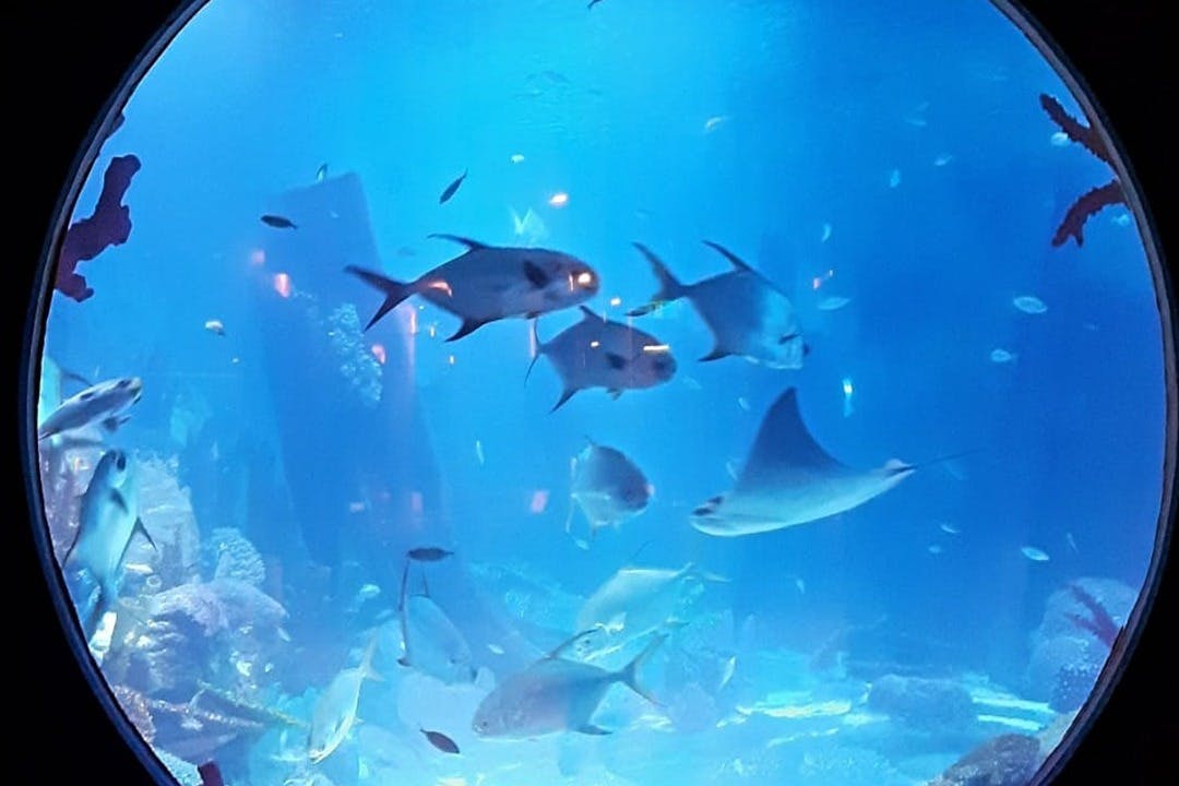 Emaar Aquarium