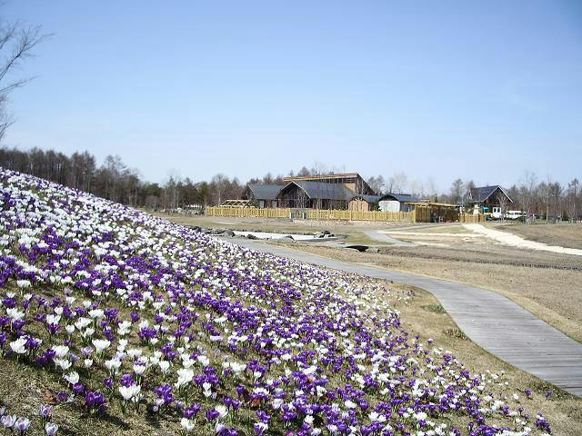 Northern Horse Park Tomakomai: Entry Ticket for Spring/Summer/Autumn - Photo 12
