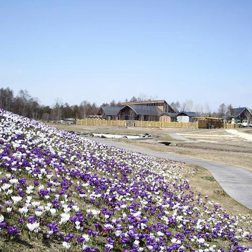 Northern Horse Park Tomakomai: Entry Ticket for Spring/Summer/Autumn - Photo 12
