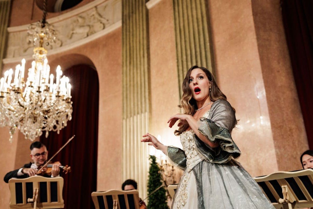 Palais Auersperg: Imperial Gala Concert + Dinner - Photo 7