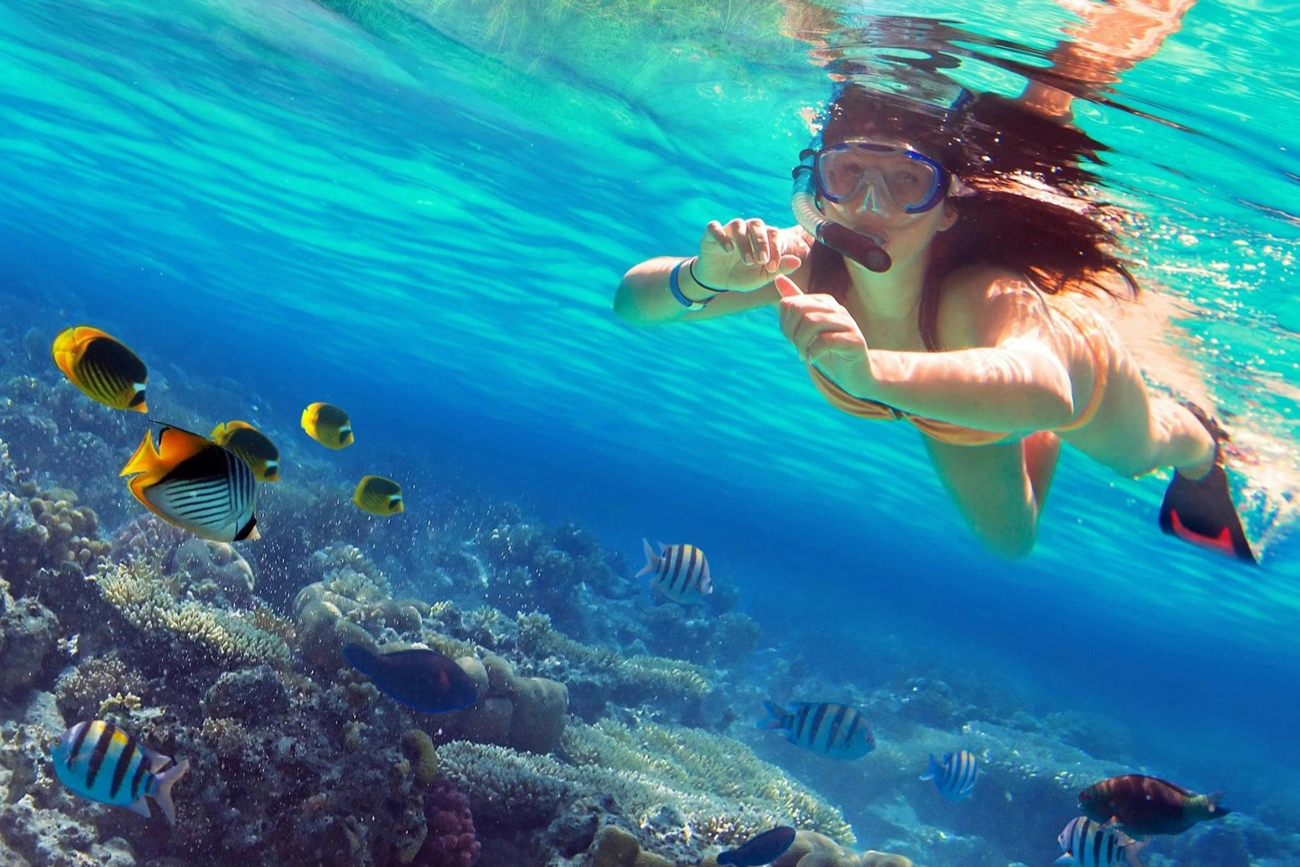 A snorkeler swims over a vibrant coral reef, surrounded by various colorful fish in clear blue water.