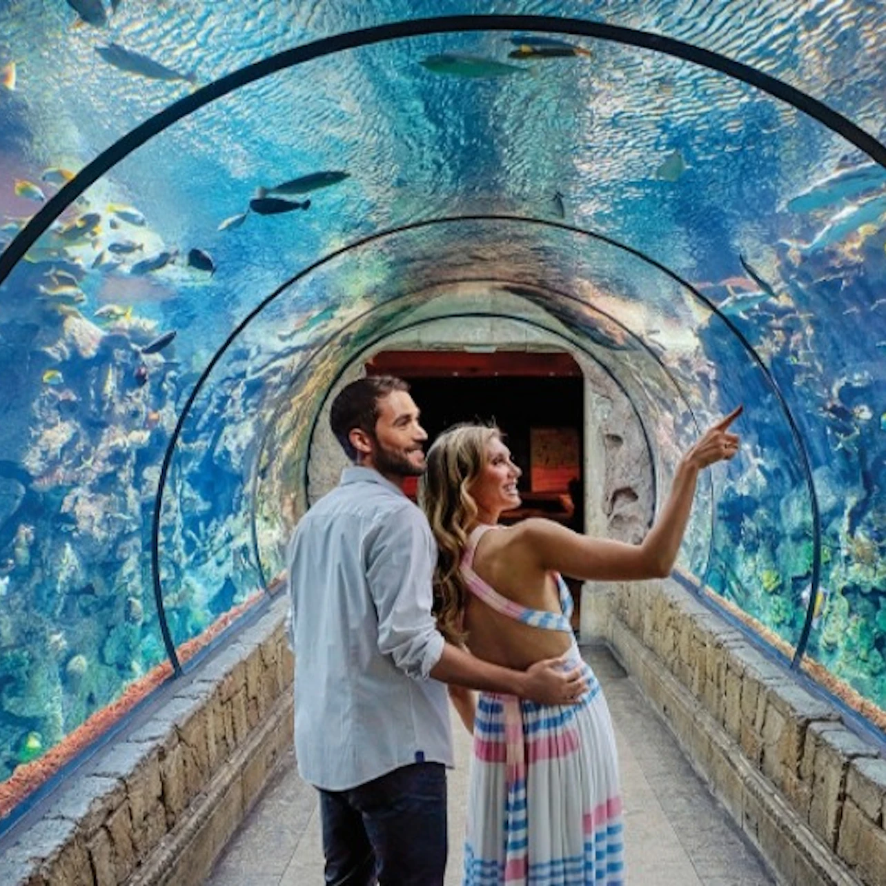 Shark Reef Aquarium at Mandalay Bay: Entry Ticket in Las Vegas β Tiqets