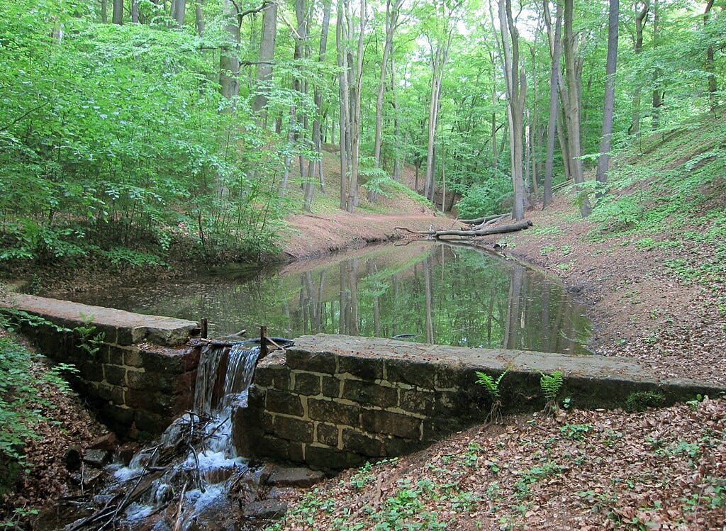 V bujném zeleném lese s klidným rybníkem a stromy v pozadí protéká přes kamennou zeď malý vodopád do potoka.