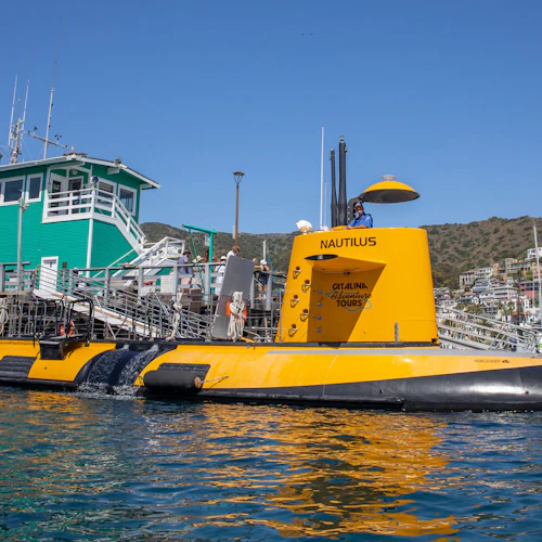 Los Angeles: Excursão de semi-submarino a partir da Ilha Catalina - Photo 3