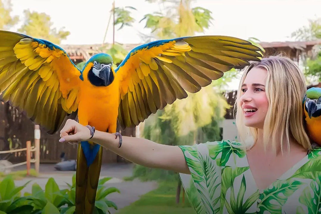 エミレーツ・パーク動物園