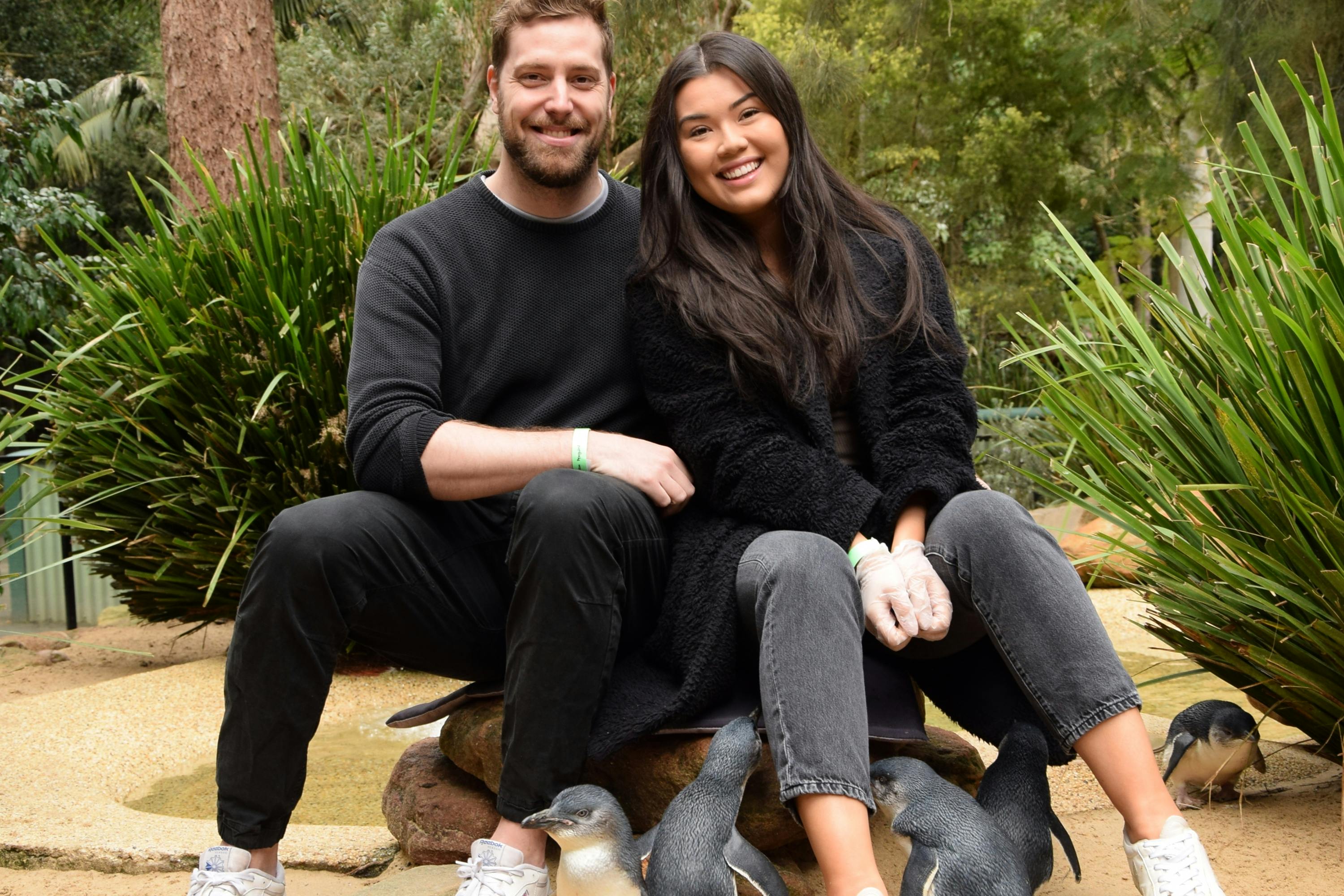 A man and a woman sitting on a rock outdoors, smiling, with several small penguins in front of them.