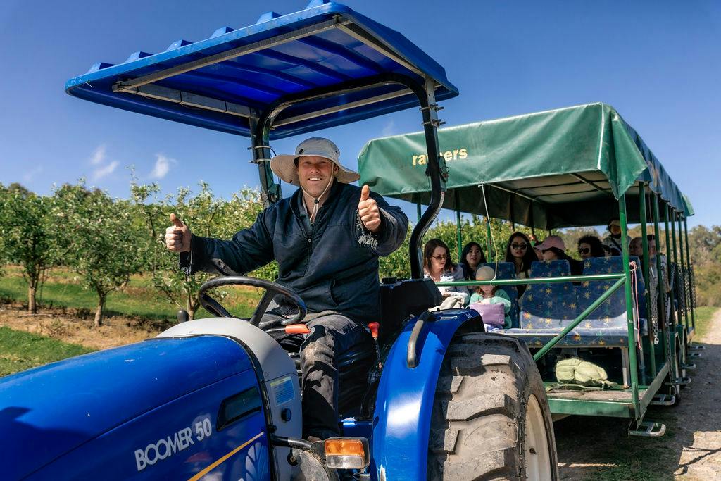 Yarra Valley Orchard: U-Pick + Tractor Tour with 1kg Takeaway Fruit