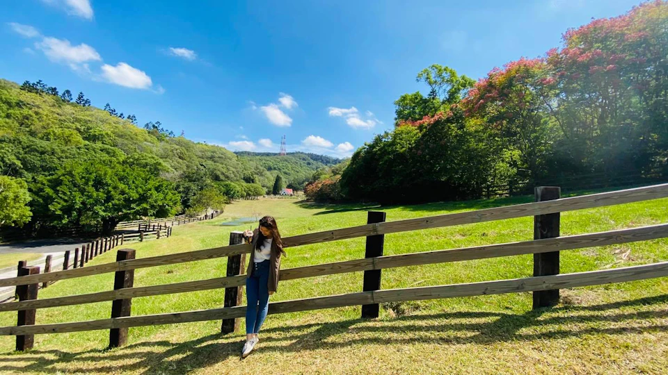 A person stands by a wooden fence in a grassy field with trees, hills, and a clear blue sky in the background.