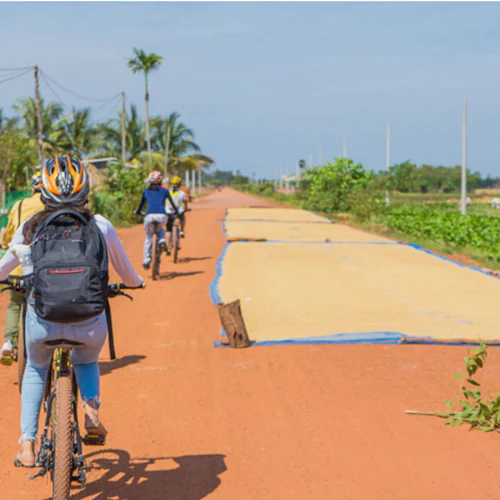 Siem Reap: ciclismo e aventura culinária - Photo 7