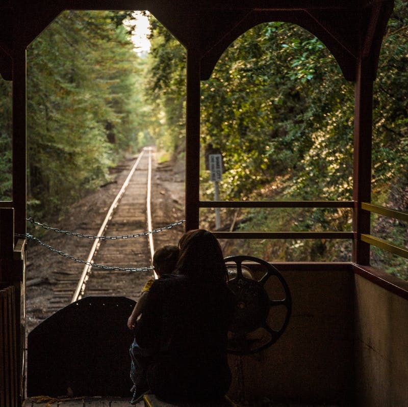 Una persona e un bambino siedono in coda a un treno con vista sui binari che si estendono in una foresta.