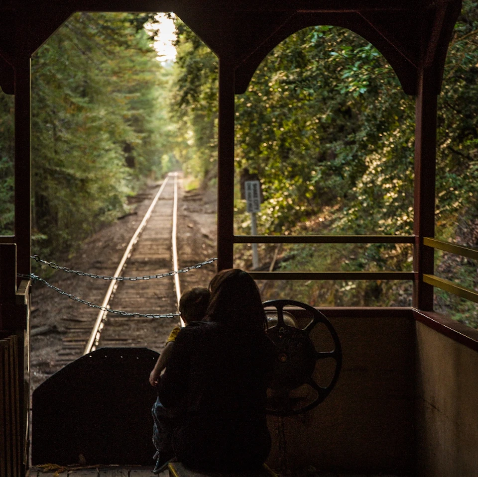 A person and a child sit at the rear of a train with a view of tracks extending into a forest.