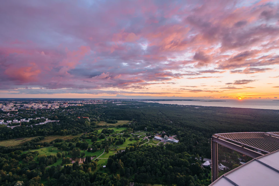 A high vantage view of a green, dense forest area, with a city and coastline visible under a pink and orange sunset sky.