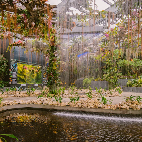 Floral Fantasy - Photo 5